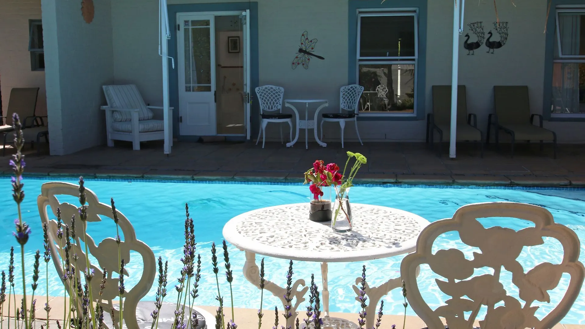 Paradiso Guest House Kapstadt 4*,