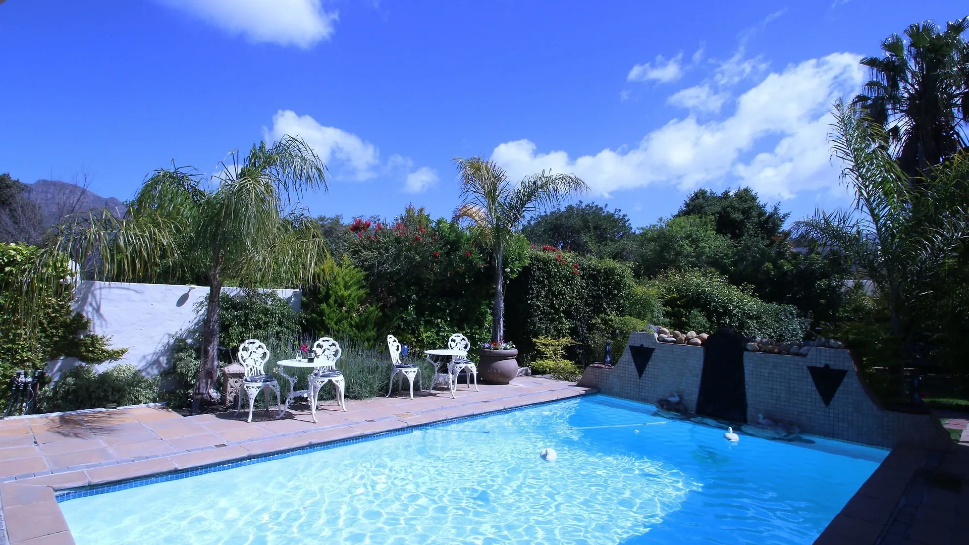 Paradiso Guest House ケープタウン